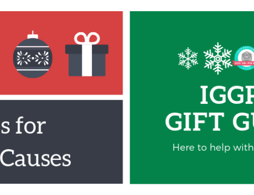 Gift Guides 2018: Charitable Giving Edition
