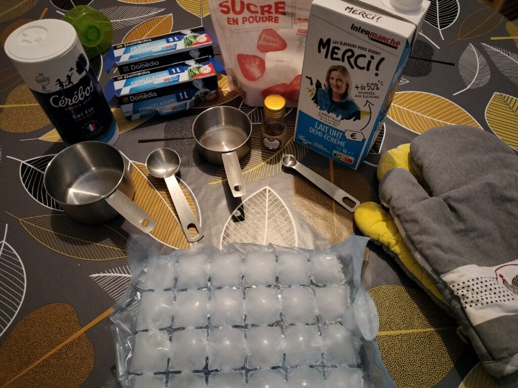 supplies as listed above for express ice cream, laid out on a kitchen counter